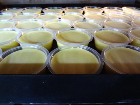 ファイル 102-1.jpg