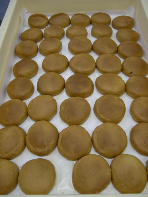 ファイル 123-1.jpg