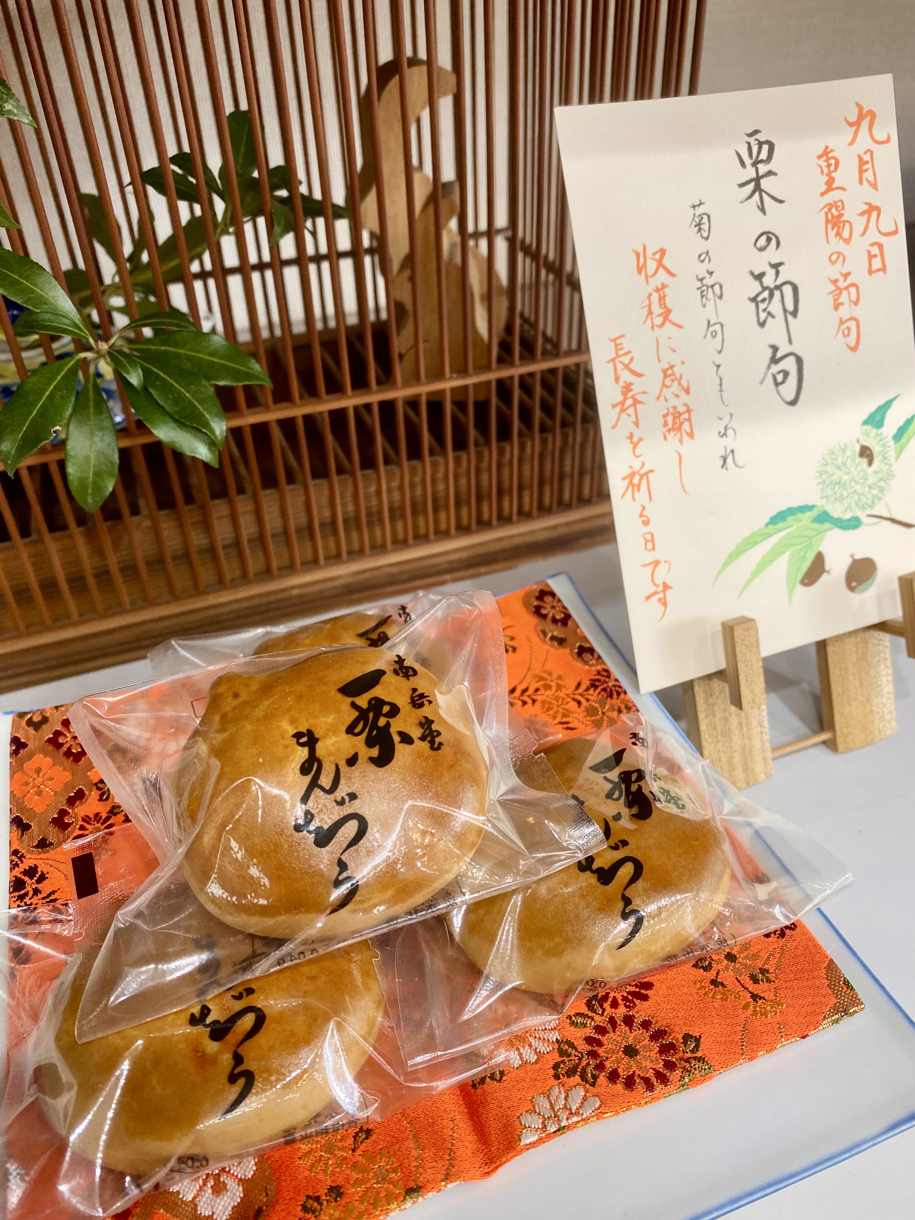 ファイル 227-1.jpeg