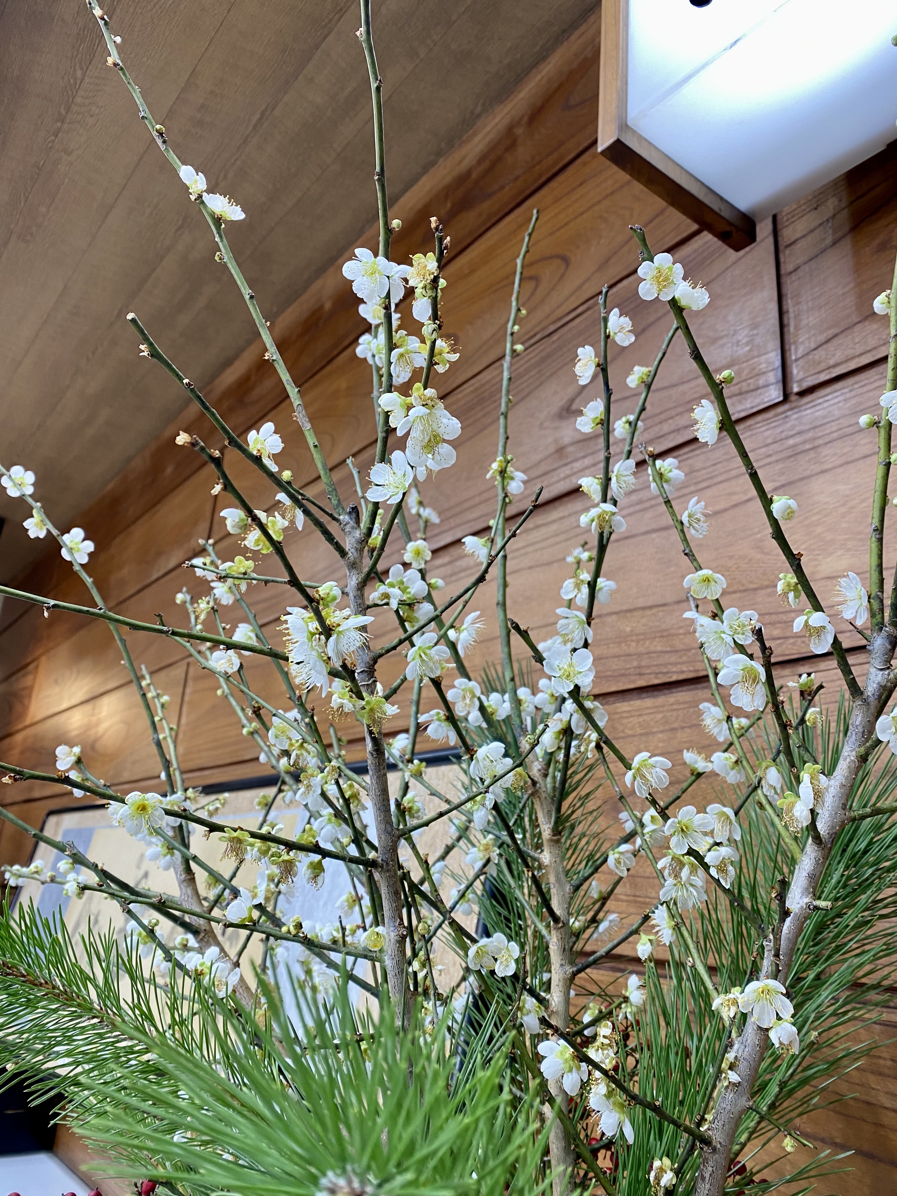 ファイル 231-4.jpeg