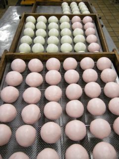 ファイル 32-1.jpg