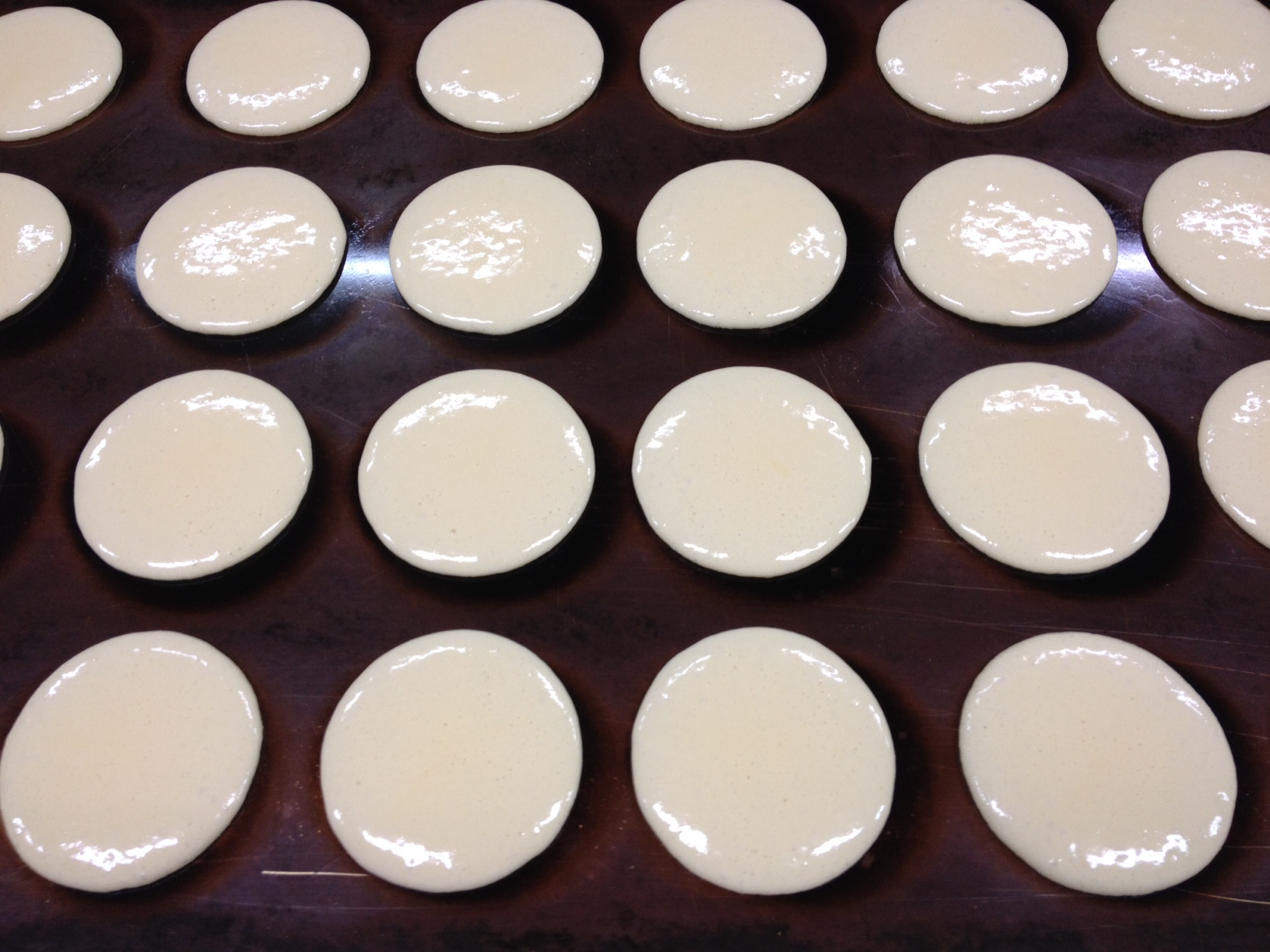 ファイル 63-1.jpeg