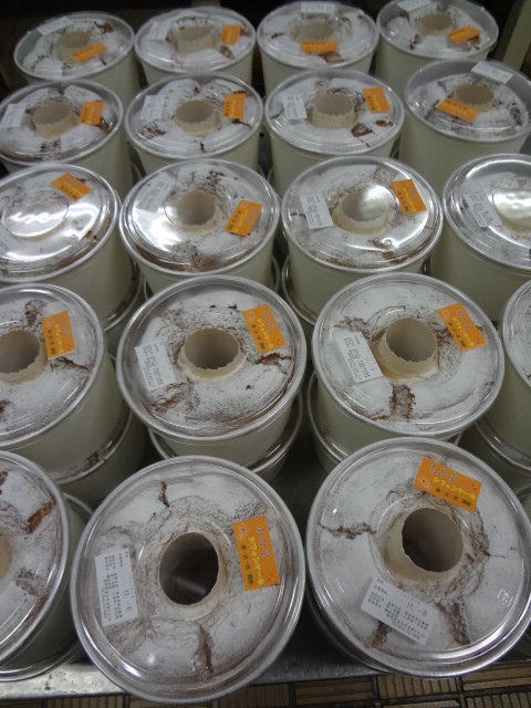 ファイル 90-1.jpg